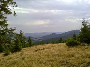 Pasul_Pingarati_Barnadu_02