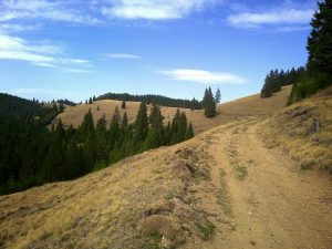 Pasul_Pingarati_Barnadu_04