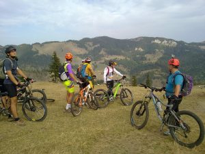 Pasul_Pingarati_Barnadu_06