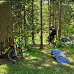 Garcina_bt2026_X_005
